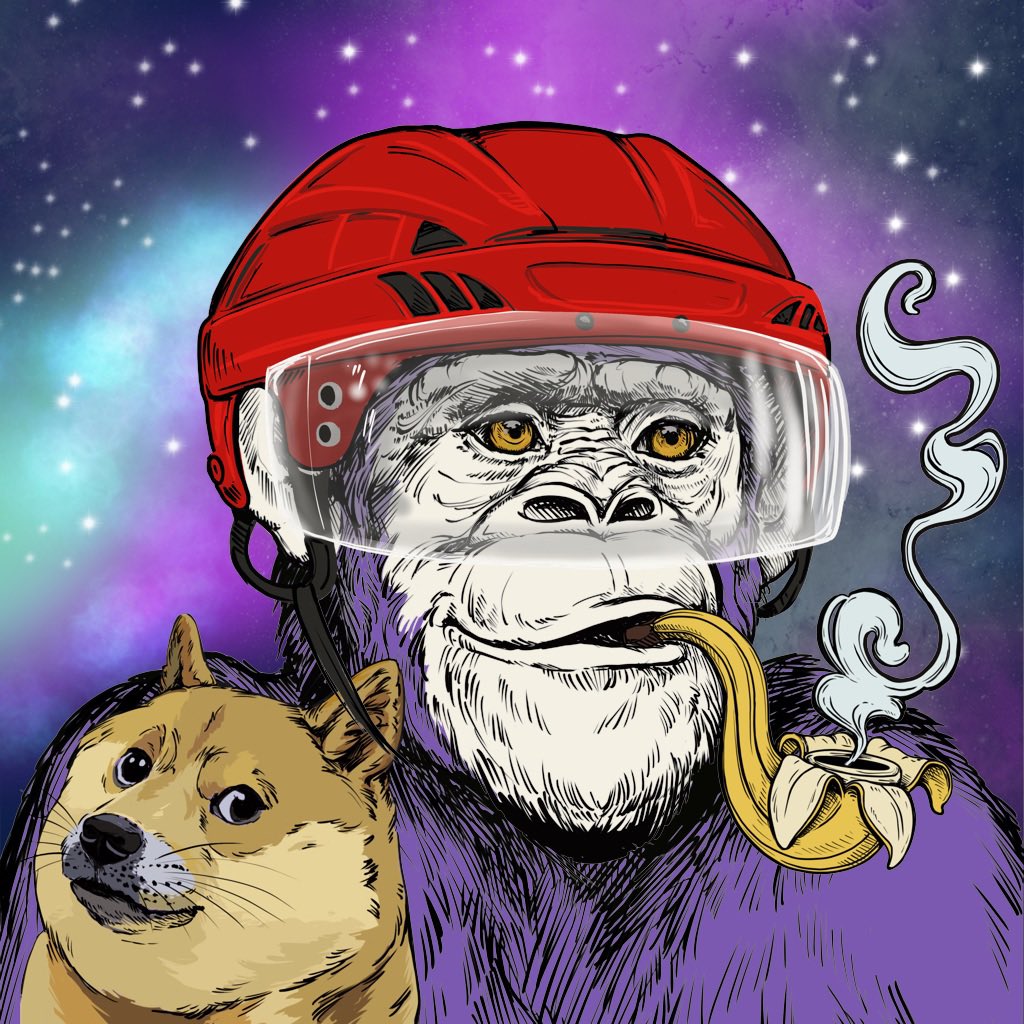 CryptoVarz's tweet photo. Still the most under appreciated project ever! @PrimatesSociety 

Do your research, Big things coming! 🔥🚀🦍 https://t.co/4sDt7Pnkko