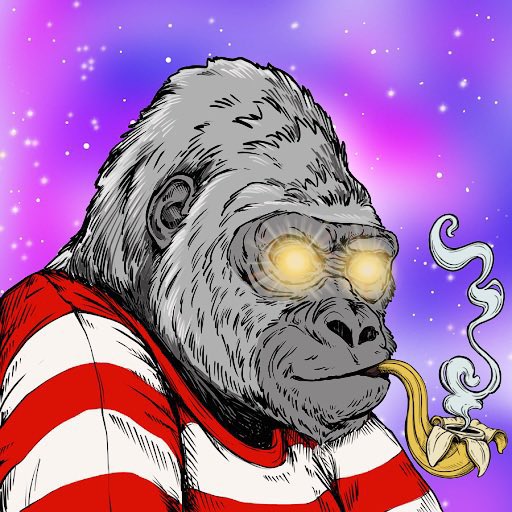 CryptoVarz's tweet photo. Still the most under appreciated project ever! @PrimatesSociety 

Do your research, Big things coming! 🔥🚀🦍 https://t.co/4sDt7Pnkko