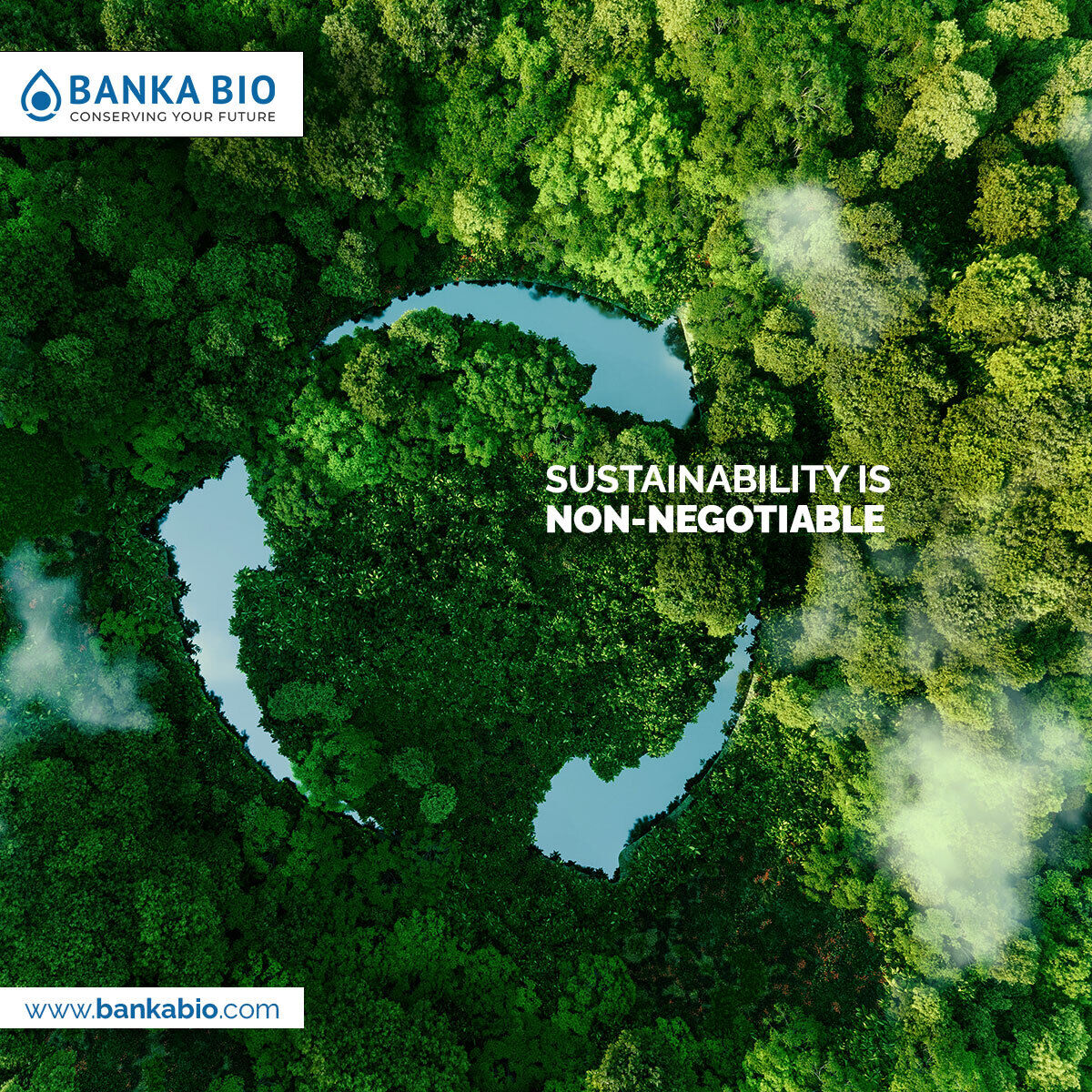 bankabio's tweet photo. The biggest opportunities for value creation must include developing sustainable strategies and outcomes. Being sustainable is also crucial to a greener and cleaner future.
To learn more, visit https://t.co/OlZe1hKxbN
#BankaBio #BankaBioLoo #Reduce #Reuse #Recycle #cleanearth https://t.co/m8Uuu1w9Tw