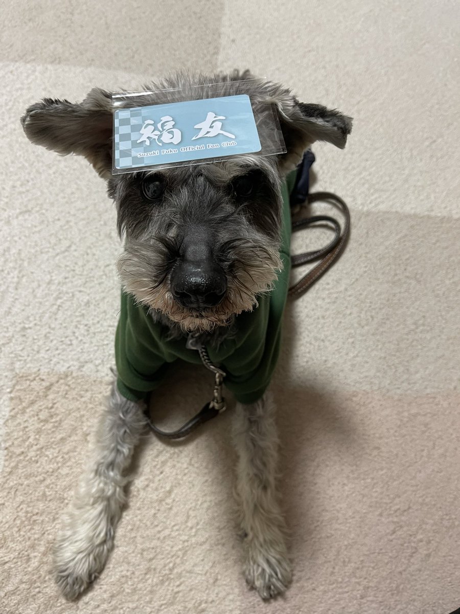 鈴木福 マルモのおきて 最新情報まとめ みんなの評判 評価が見れる ナウティスモーション