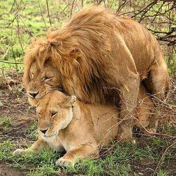 O2qENnoQ2Akum8K's tweet photo. @menaaaa223 نفسي في بنوته كيوت تدلعني بجد خلفي https://t.co/KgsmvQtqzT