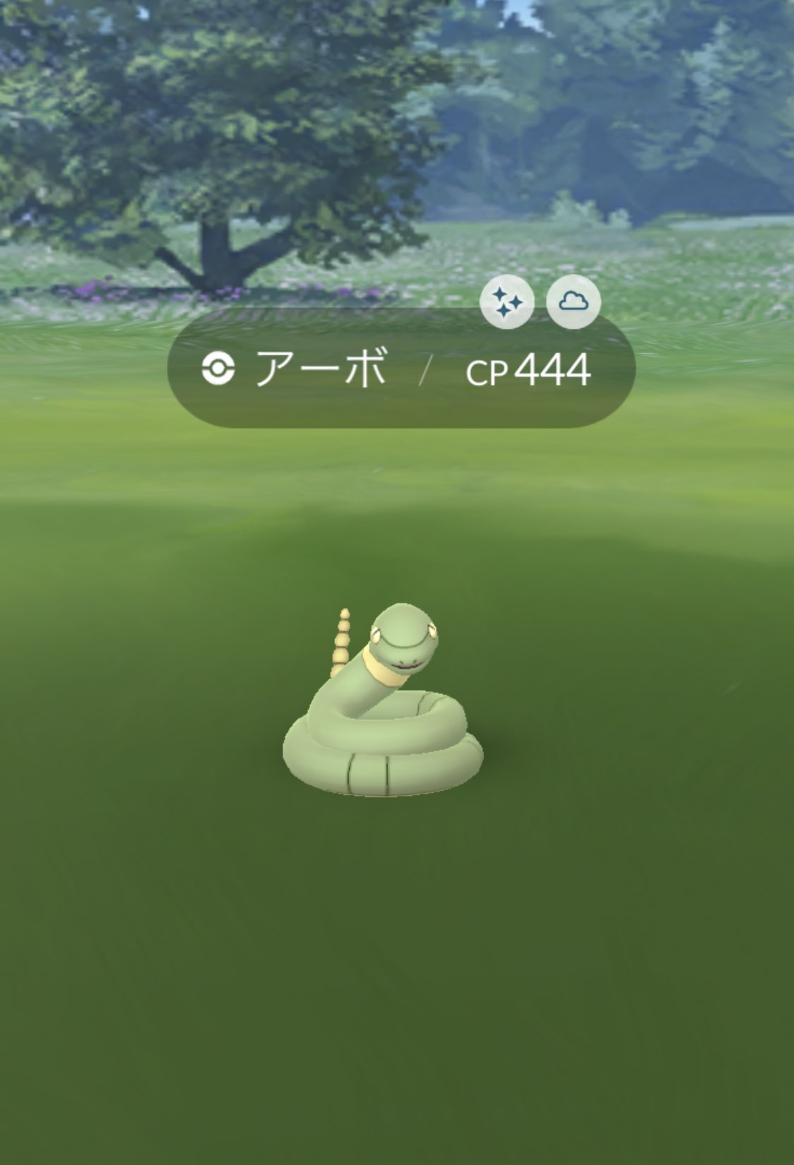 ポケビュー Pokemonbyu Twitter