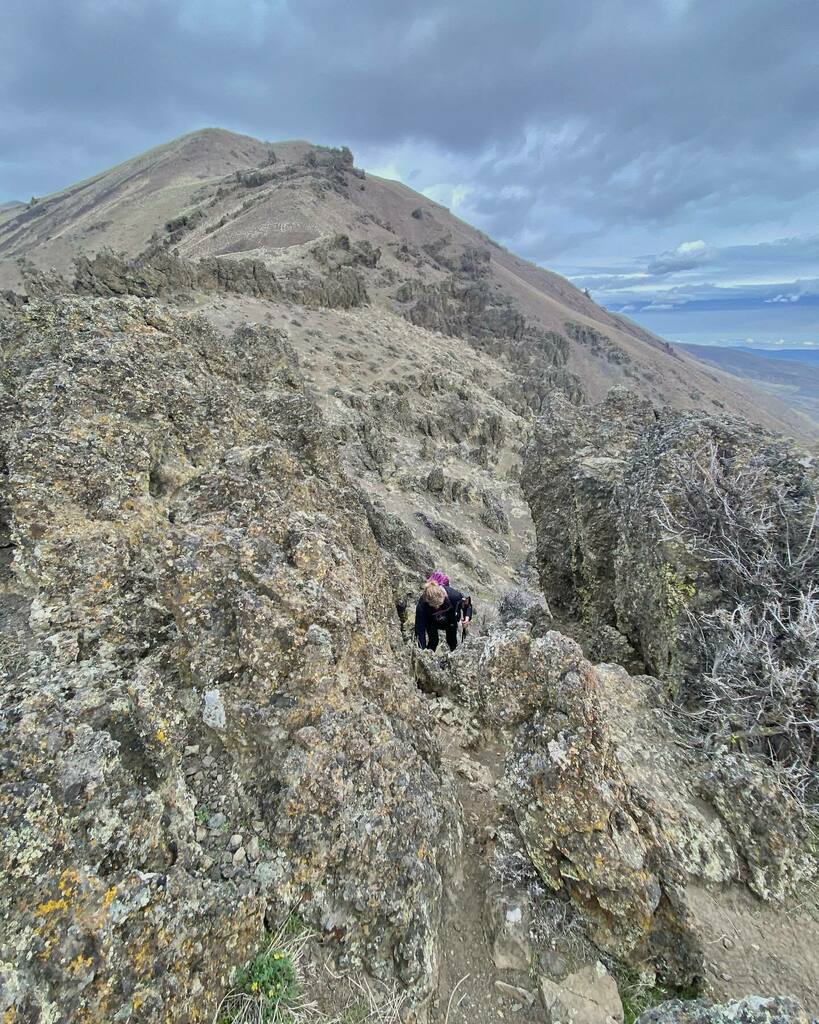 From my book Day Hiking Mount Adams and Goat Rocks- Waterworks Canyon (Naches)
.
#mountaineersbooks, #firstdayofspring, #deserthiking, #hiking, #trail, #linkinbio instagr.am/p/CbWgks4OZ44/