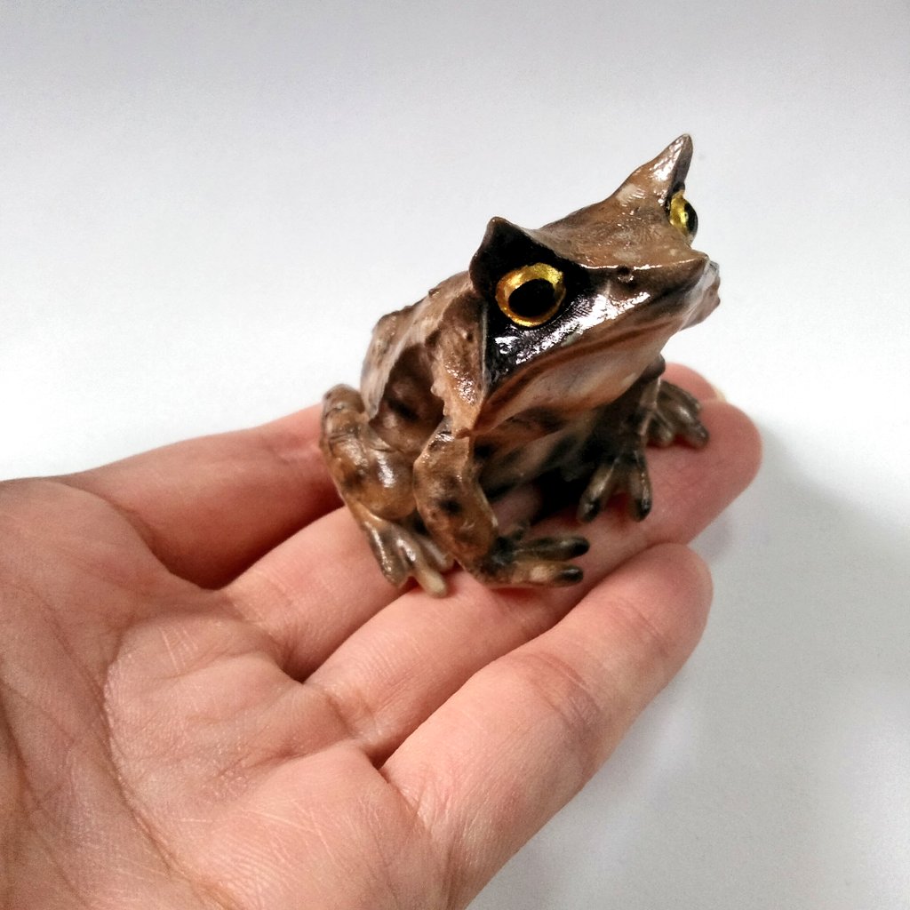 ハイネとミッケ カエル雑貨がかえるカフェ Maicosu Twitter ハイネとミッケ カエル雑貨がかえるカフェ Maicosu Twitter