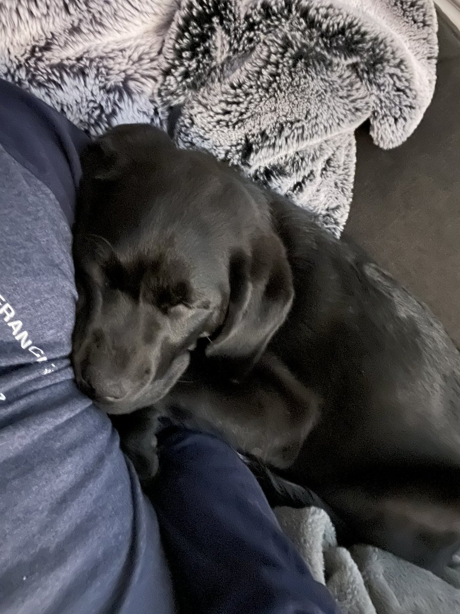 WashedUpGreg's tweet image. It’s a good night off