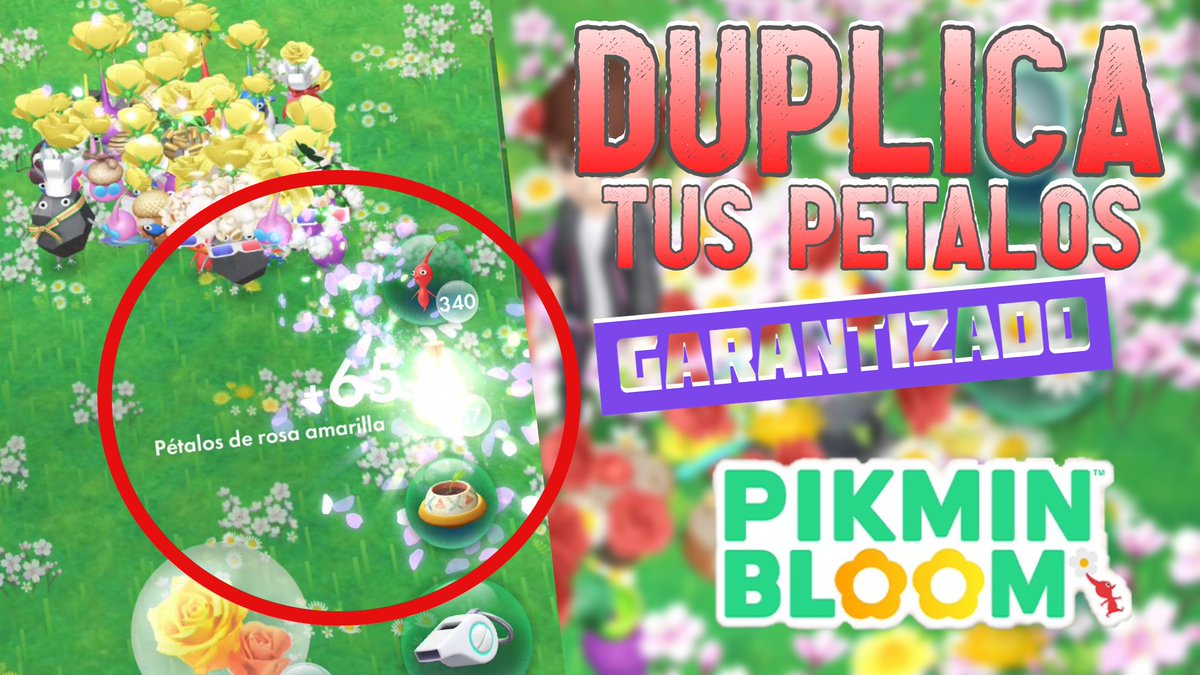 youtu.be/e1OdH3kGPvk
Obtén DOBLES PÉTALOS GARANTIZADOS con una gota de NÉCTAR en Pikmin Bloom
<a href="/PikminBloom_jp/">Pikmin Bloom Japan │ ピクミンブルーム</a>
<a href="/PikminBloom/">Pikmin Bloom</a>
#PikminBloom
#ピクミンブルーム
#ピクミンブルームフレンド募集
