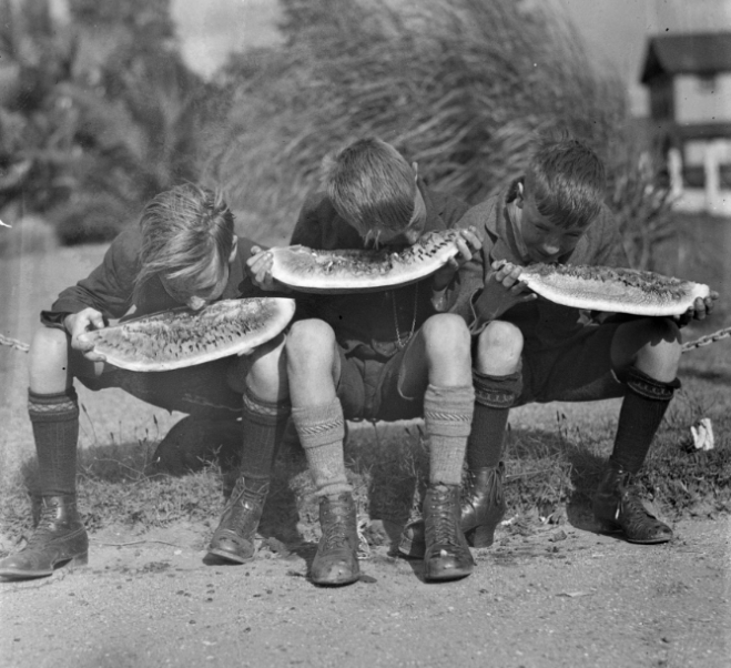 Every day the State Library of Western Australia shares new WA stories and images from its collection on Facebook. Read Francis Anderson's story of being the middle child in a very big family and growing up in Palmyra in the 1920s and 30s.facebook.com/StateLibraryWA…