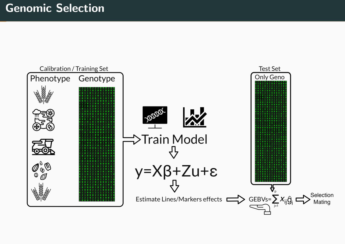 gscourse_inR tweet media