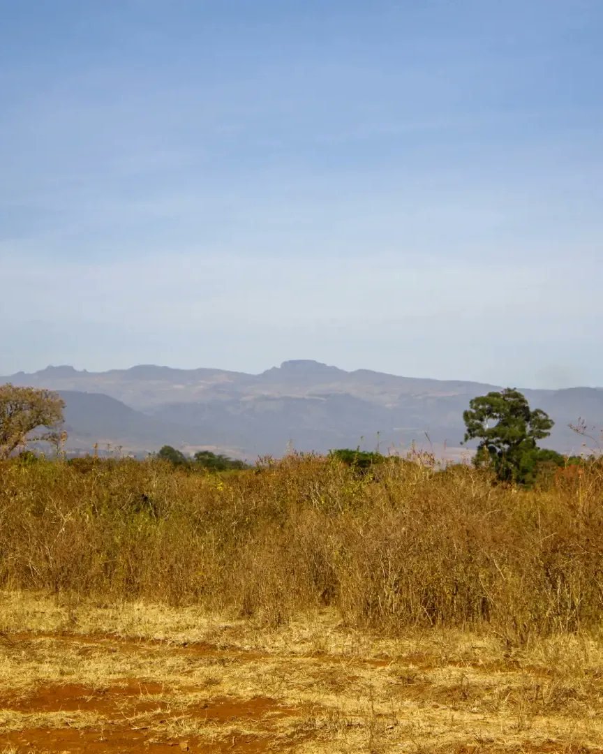 This Weekend  we all heading to beautiful Tranzs Nzoia County. <a href="/TujengeKenya/">TembeaTujengeKenya</a>  will  hit the road. Well, Nairobi people, grab your tickets now and join the fun! Book now 
PAY BILL 4033531 ACC: YOUR NAME
For Inquiries WhatsApp or call: 700l39092  
#twendeelgon
#TembeaTujengeKenya