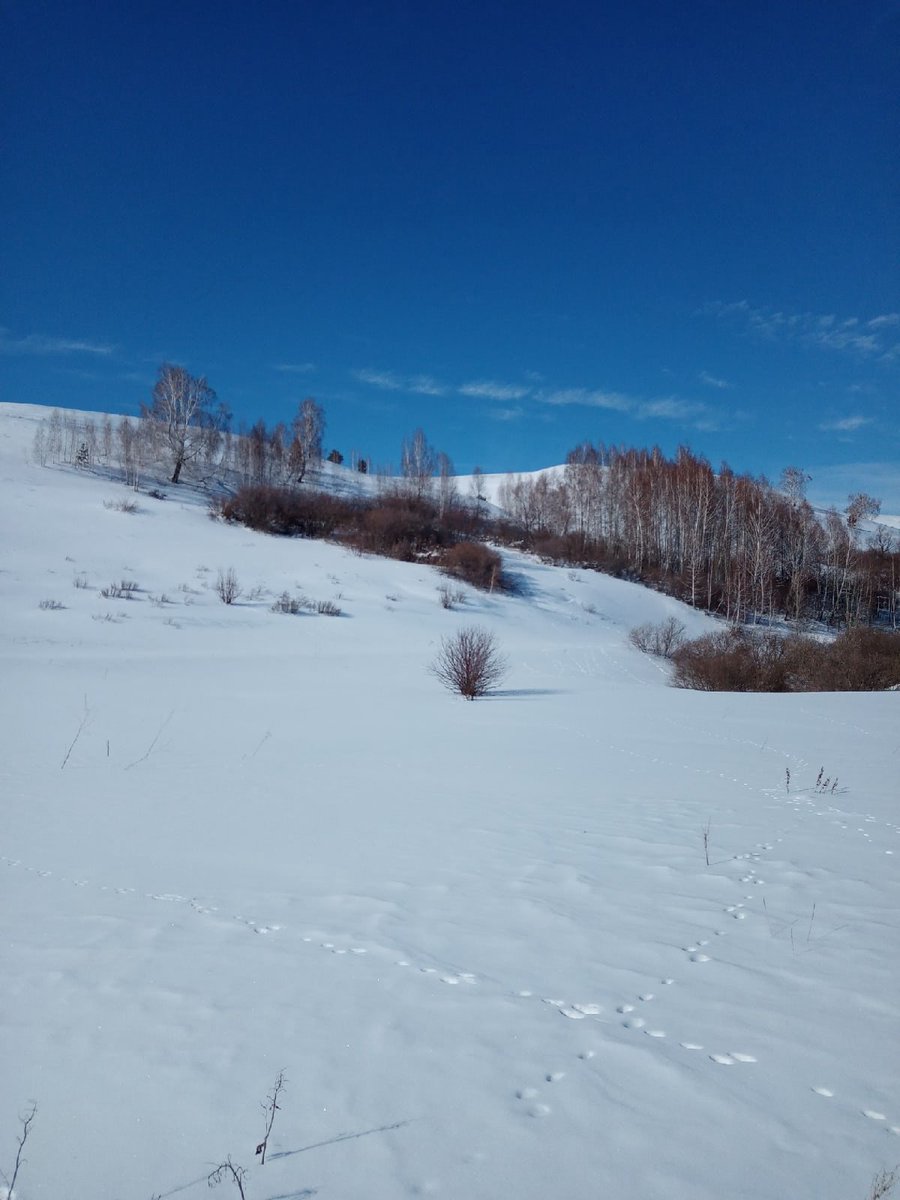 Доброе утро, Камышлинский район ❄

🖼 Фото Ильнара Сафина vk.com/id241946318
📸 Каждое время года имеет свою особенную красоту. Будь это яркое солнечное лето, золотая осень, белоснежная зима и долгожданная весна, которая поднимает настроение ☀… t2p.pw/YtonjNLuFB