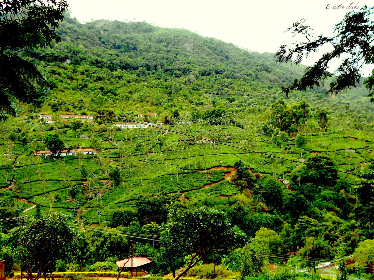 _emmanueldaniel's tweet photo. "Destroying forests is like destroying your own lifeline" - Emmanuel Daniel
#forestday #forestconservation #nature #mountains #green #trees #lovenature #MotherNature #India #Nilgiris #siruvani #coimbatore #lifeline #GlobalWarming #climate #ClimateCrisis #ClimateEmergency https://t.co/NBDEB2Icex