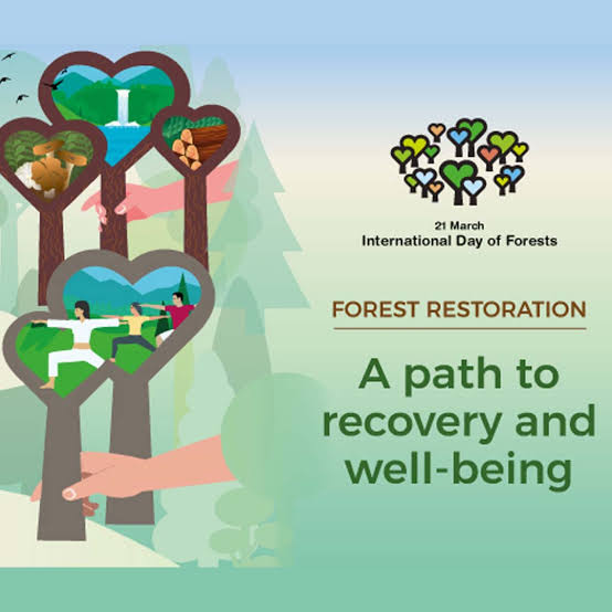 soleefforts's tweet image. “Warm wishes on International Day of Forests to you. They are the home to around 80% of the terrestrial biodiversity of the world.”#forest #nature #naturephotography #photography #trees #landscape #naturelovers #tree #travel #hiking #mountains #InternationalDayofForests