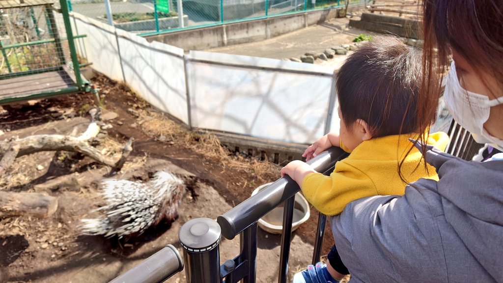 kazuC35kai's tweet photo. 初めて見る生き物達(^^) https://t.co/CSZ7KgCTlX