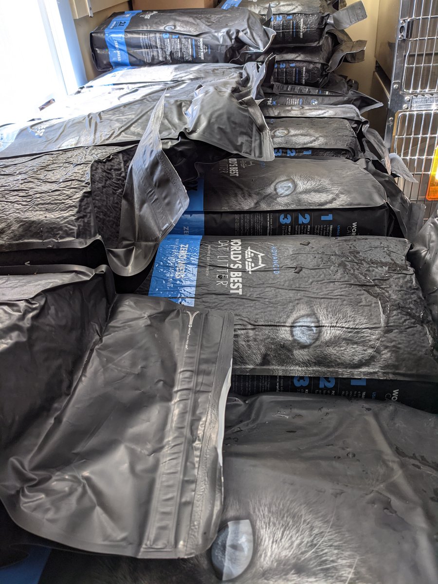 MRFRScats's tweet photo. How MRFRS cats feel about World’s Best Cat Litter ⬇️ They adore it (and so do we)! Thank you @bestcatlitter for supporting the #cats in our care by donating and keeping us stocked with WBCL! 😻 👍 https://t.co/882xxlFVGO