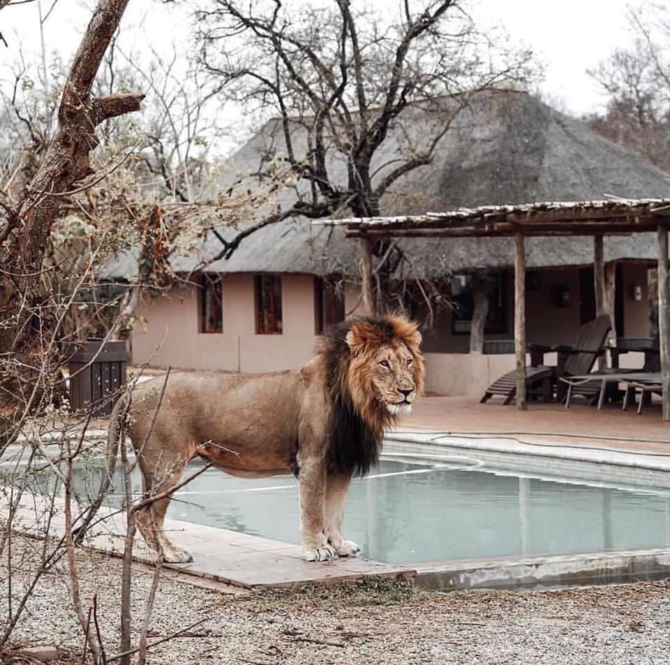 Mukeshh Khunt tweet media