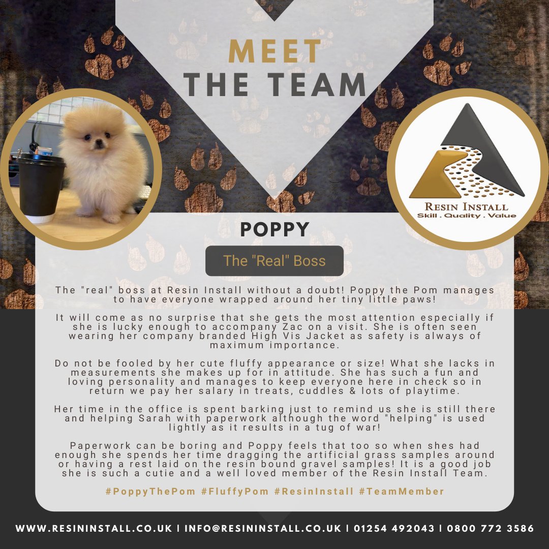 ResinInstall's tweet image. ✨MEET THE TEAM✨We are giving a unique insight into the people behind the business here at Resin Install but not all of our team members are human, some come with four legs and lots of fluff!

#MeetTheTeam #InsideTheBusiness #PoppyThePom #TheRealBoss #SayHello #ResinInstall