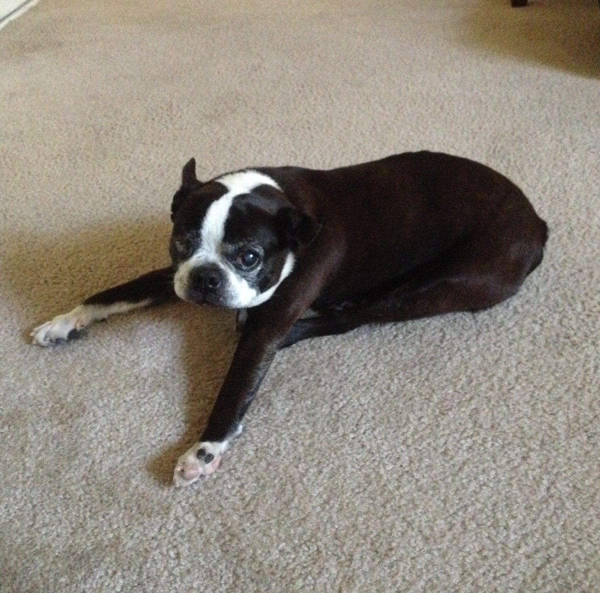 SoCal Python tweet media