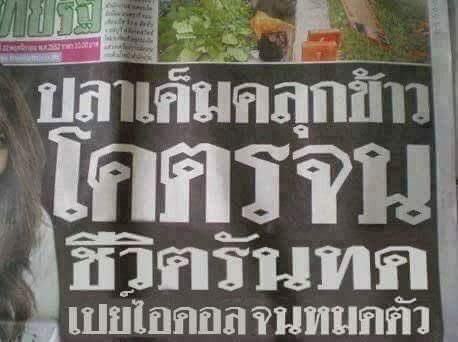 ‎ผัวพี่แจมิน¹³ (@najaeispua) on Twitter photo 