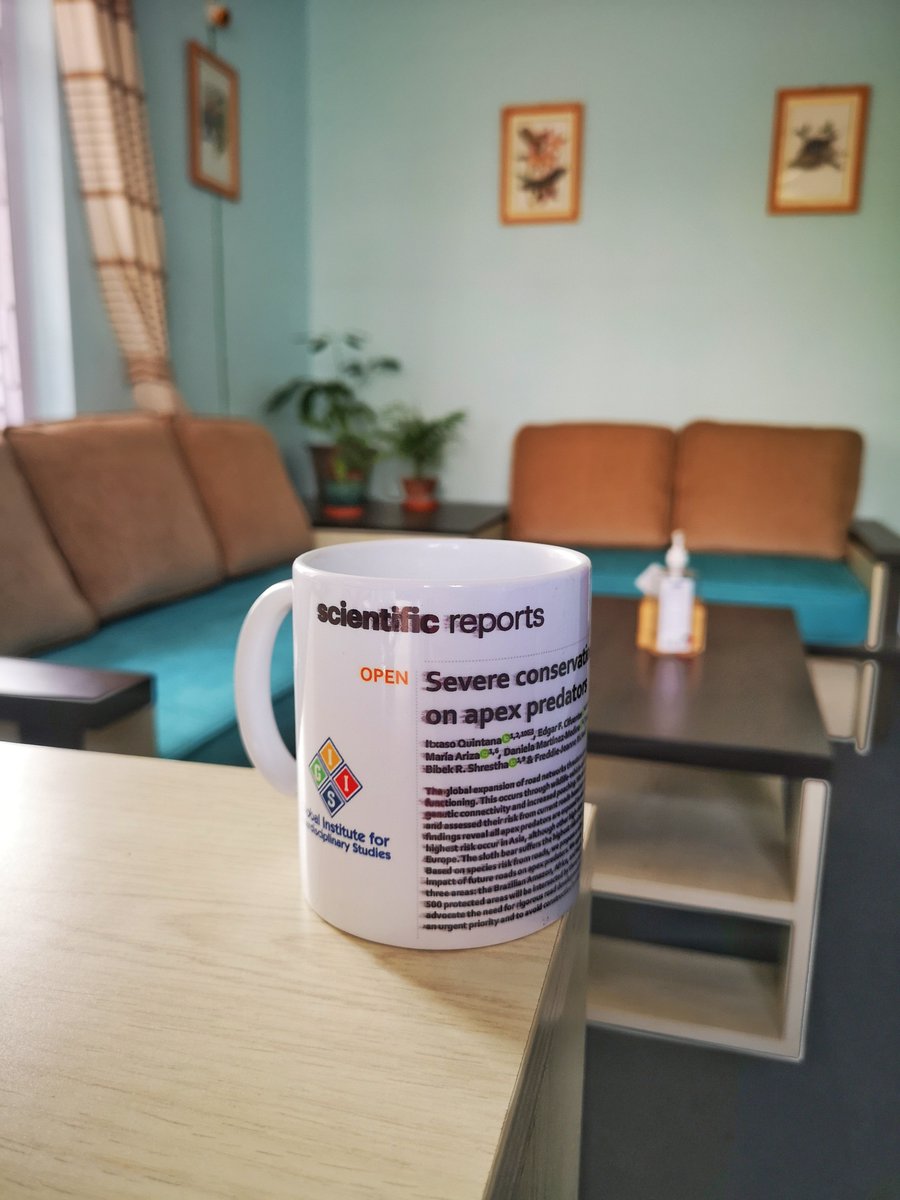 TheGIIS's tweet photo. Publish and Mug-lis (मगलिस)!
We present an abstract-printed-mug to the author (s) who publish her/his 1st journal article at GIIS. Our research associate, @bibekrshrestha is receiving this mug for his Scientific Report article-Severe conservation risks of roads on apex predators. https://t.co/i3dvpummFW