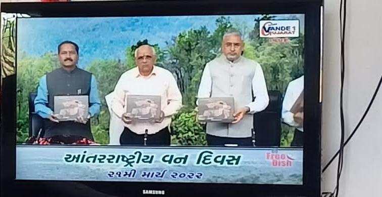 DCFNARMADA tweet media