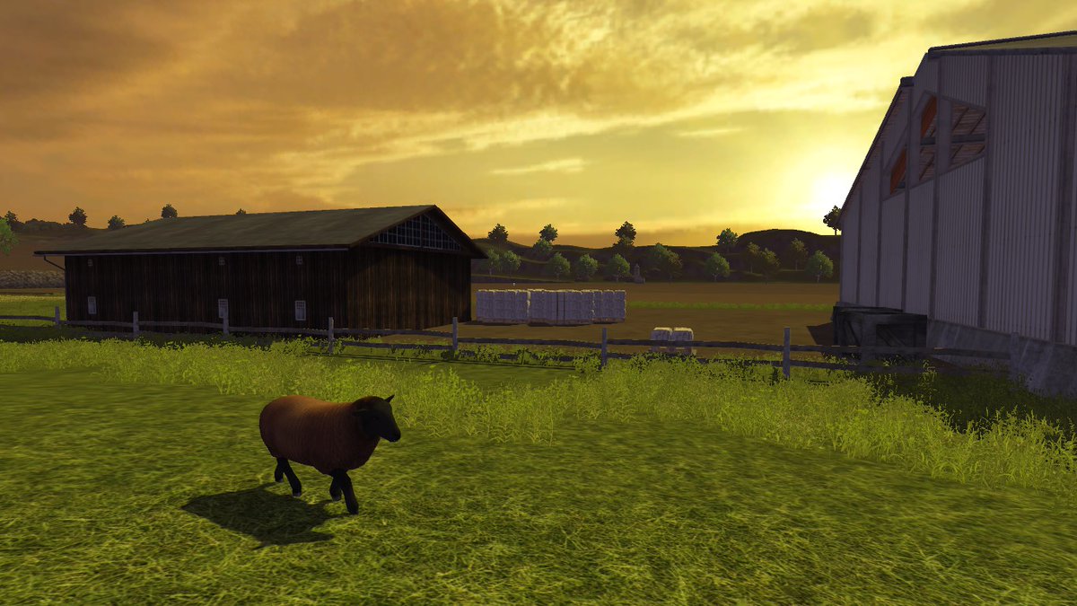 BKNation3's tweet photo. selling off some wool and grain (great demand on barley) on the farm tonight. Also had a bit of barley in the fields so I knocked that out. On to the canola frenzy next :)
#FS2013 #FSChallenge https://t.co/0FAHD0T5v8