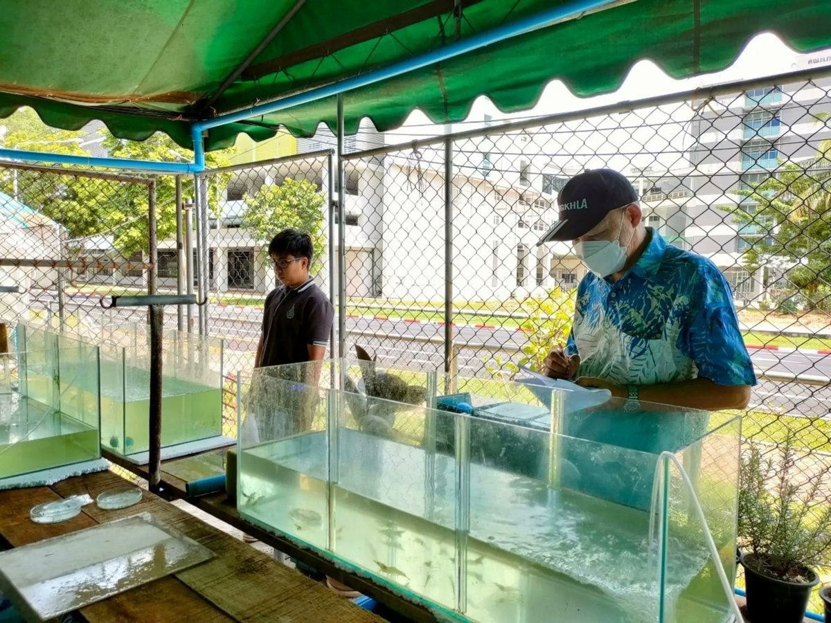 Study found that SCPs do not have an impact on the palatability or attractability of feeds to shrimp. <a href="/FeedKind/">Calysta</a> #aquafeed
👉 buff.ly/3wcgw6R