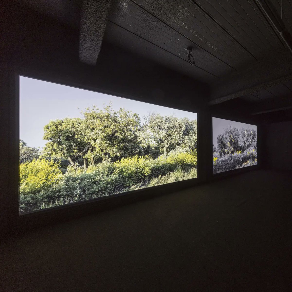 Pleasant Places Diptych now on view at the Tongyeong Triennale in Korea