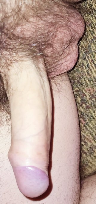Would you lick it? ? I know i would if i could. 
#uncut #bisexual #NSFW #Gayporn #chubby #chubbychaser