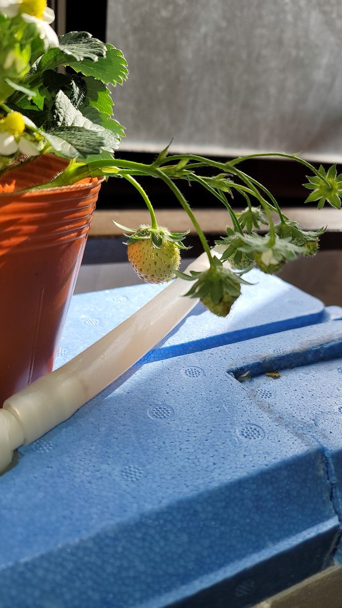 色がついた、嬉しい