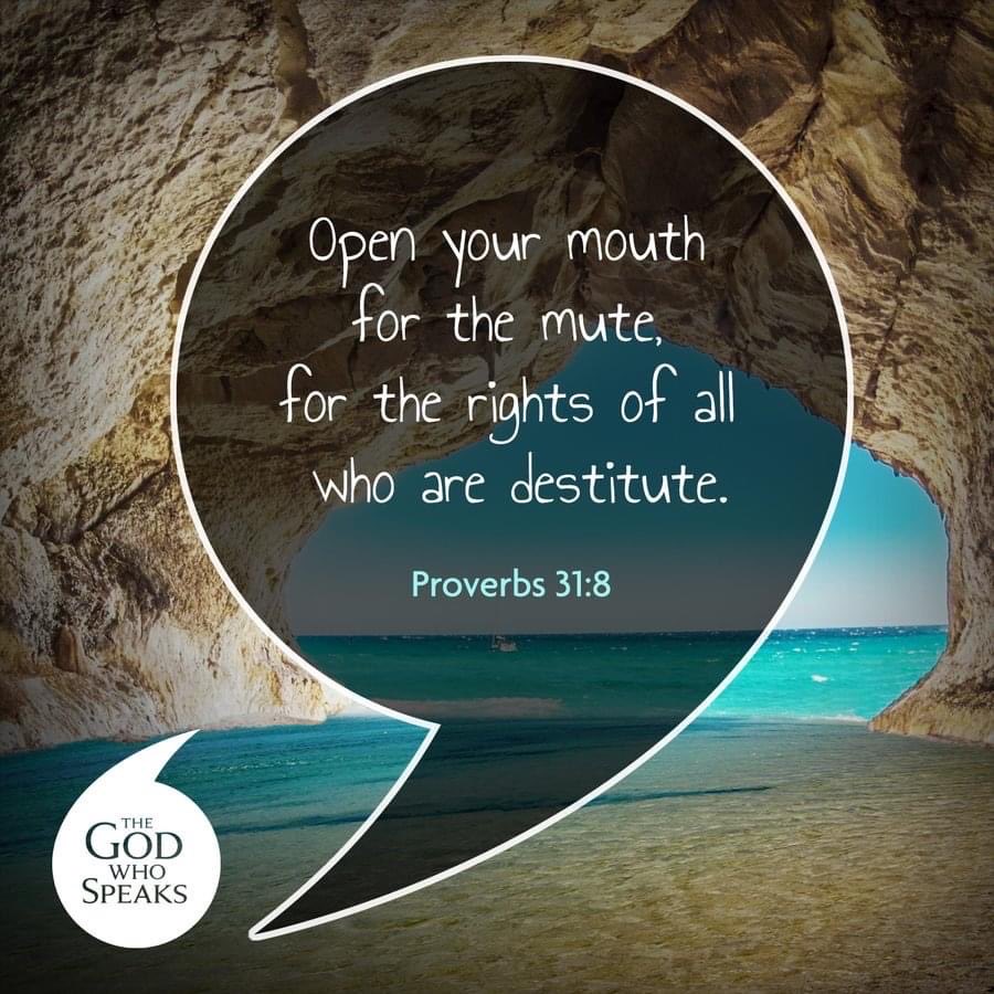 Challoner Chaplaincy tweet media