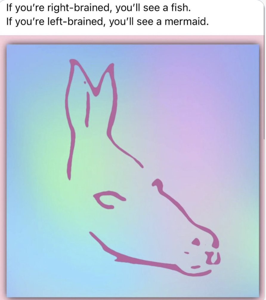 ExtremeSavers's tweet photo. Yes obviously it’s a donkey. Obviously. https://t.co/WxkhCcLpyq