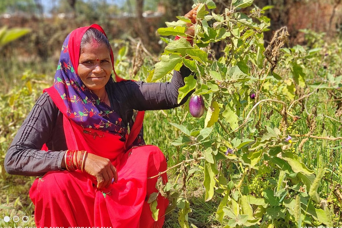 #Work4ProgresslaCaixa
<a href="/ActionAidIndia/">ActionAid Association</a> team supporting women entrepreneurs to grow and sell their vegetables in the market in Lalitpur District of Uttar Pradesh.
<a href="/FundlaCaixa/">Fundación ”la Caixa”</a> @AxSolidaridad 
<a href="/C9Khalid/">Khalid Chaudhry</a> @DMLalitpur <a href="/CMOfficeUP/">CM Office, GoUP</a> <a href="/sndeep/">Sandeep Chachra</a>