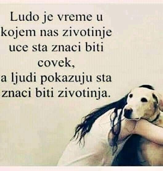 Jela 74🌲❤️😉 (@jelkica74) on Twitter photo 