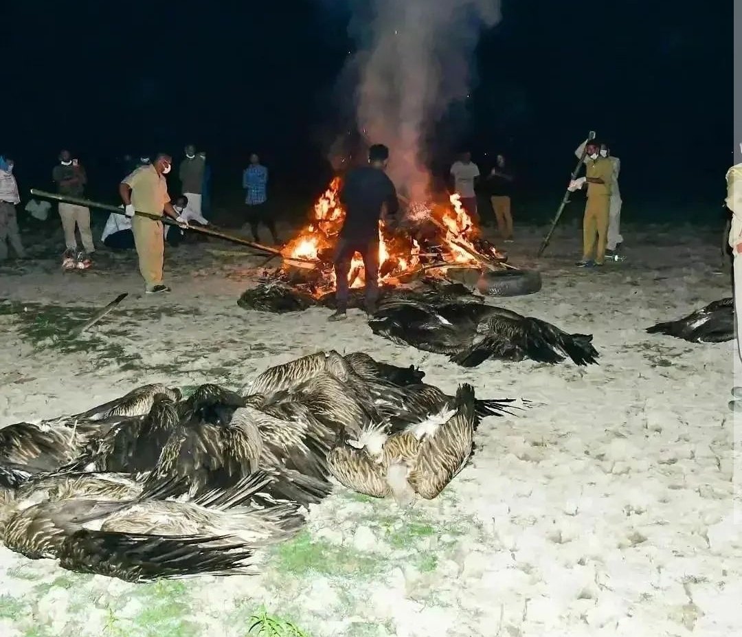 इन्दीवर स्टार्क 🪷 tweet media