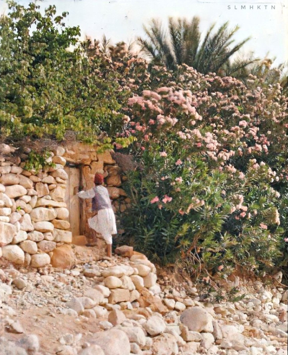 ℹ️ Bahçe kapısının yanında genç bir çocuk
📍El Kantara, Cezayir
📅 1911
📷 Jules Gervais-Courtellemont