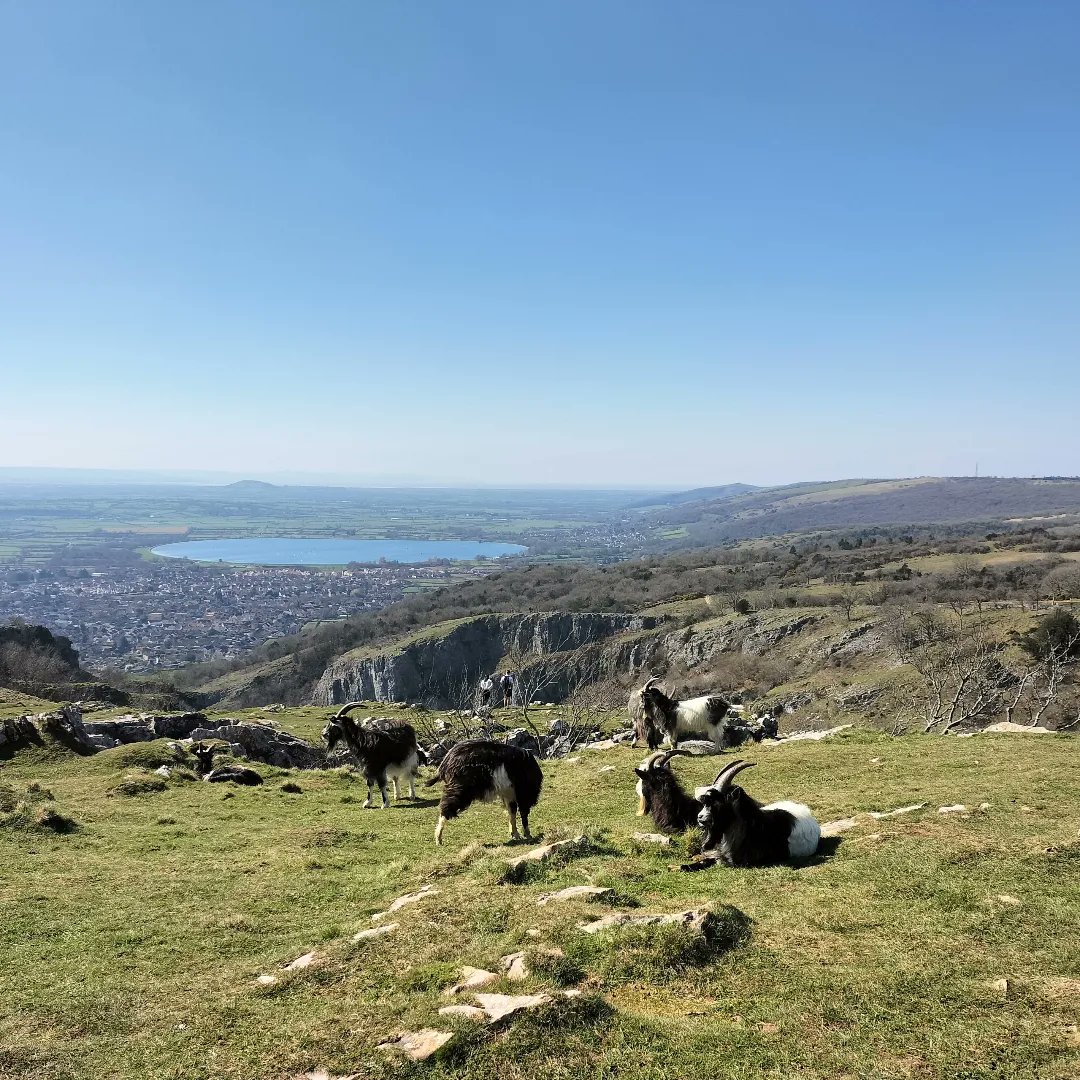 BathRunner's tweet image. Just kidding #cheddar