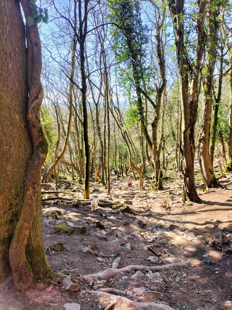 BathRunner's tweet image. Just kidding #cheddar