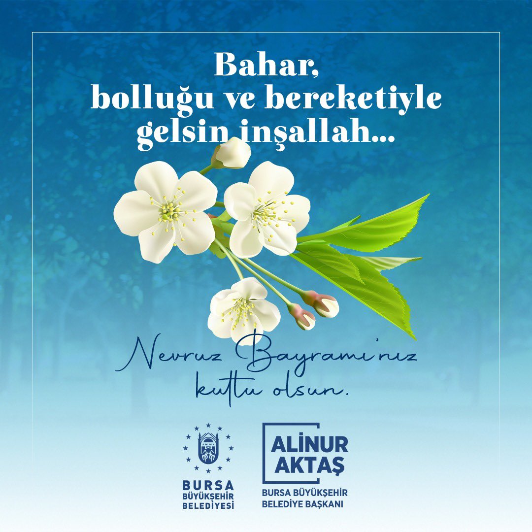 Alinur Aktaş