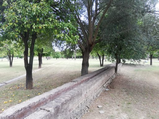 Parque del Alamillo tweet media