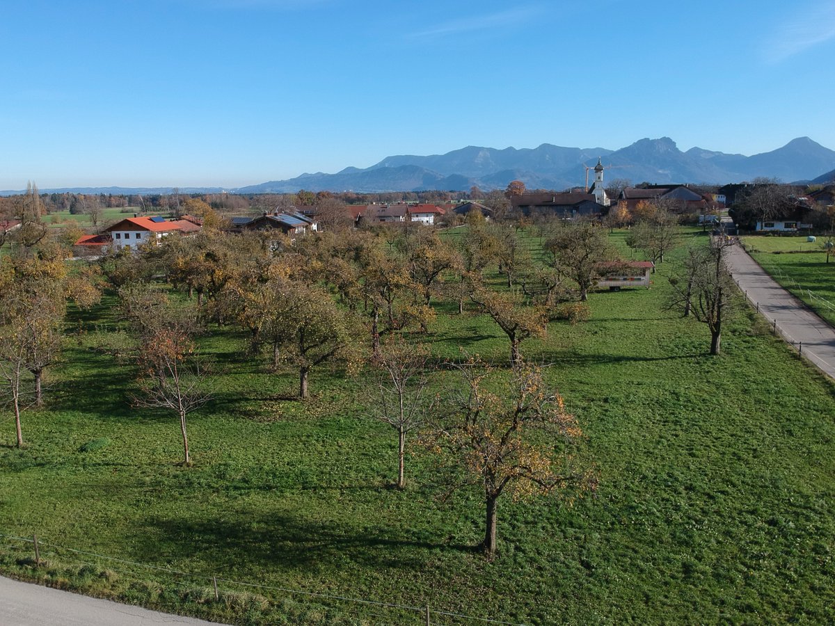 In unserer neuen Publikation zur Speicherung von #Kohlenstoff in #Streuobstwiesen zeigen wir, dass diese nicht nur wertvoll für #Biodiversität und Kulturlandschaft sind, sondern auch zum #Klimaschutz beitragen
researchgate.net/publication/35…