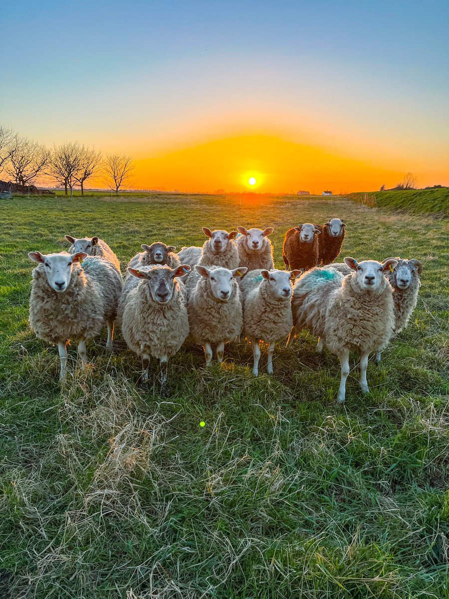 Monday again 🤪 Need some advice, what farm account software do you use? Have a great week 👋🏻 #monday #farming #Accounting