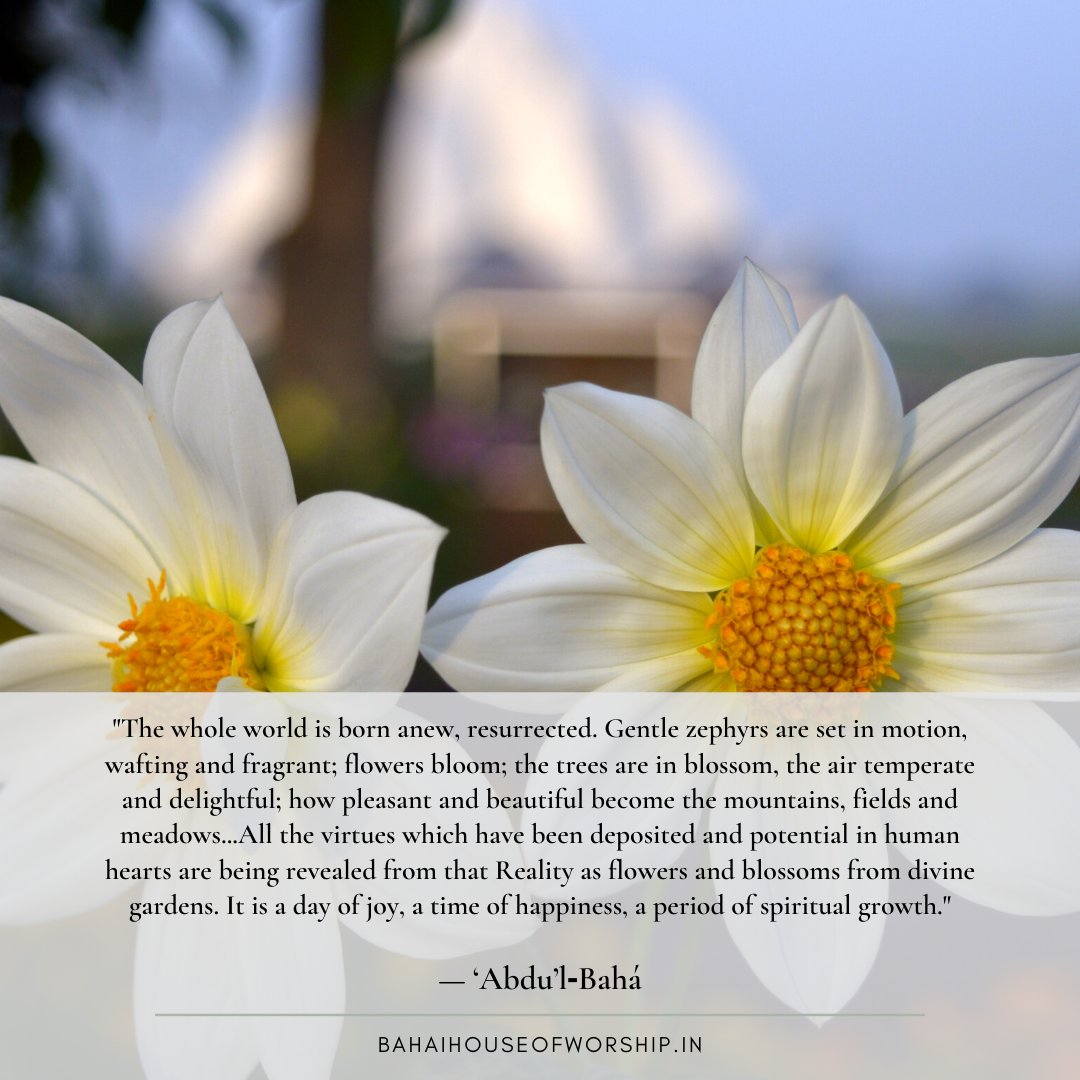 BahaiLotus's tweet photo. "The whole world is born anew, resurrected. Gentle zephyrs are set in motion, wafting and fragrant; flowers bloom; the trees are in blossom, the air temperate and delightful; how pleasant and beautiful become the mountains, fields and meadows..."
#BahaiLotusTemple #Nawruz #India https://t.co/PLq9Iz1wja