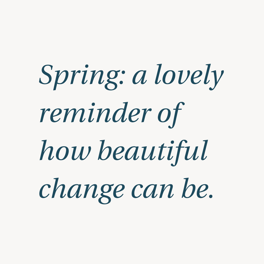 Verse Chocolate tweet media