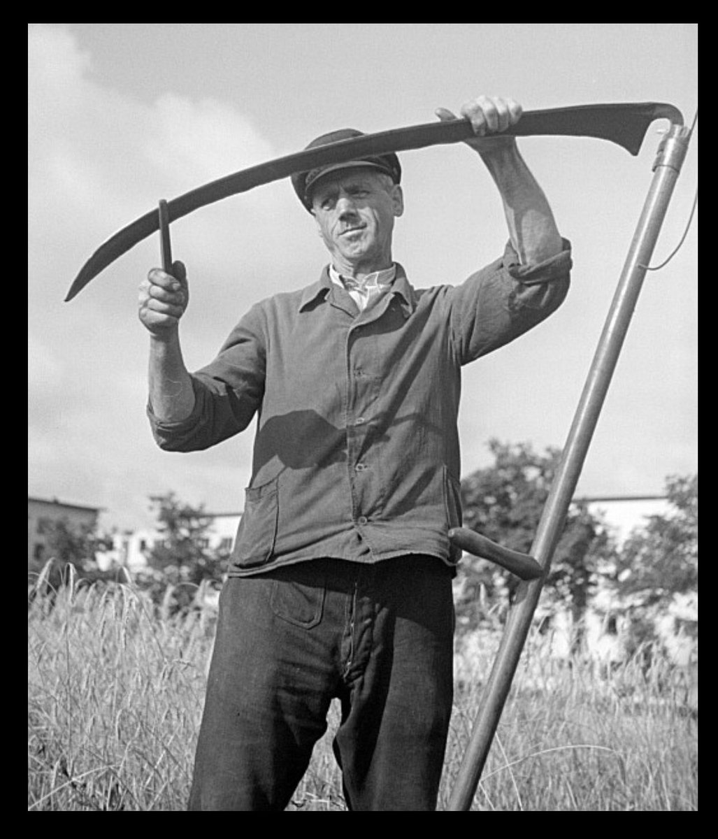 Ringing Ears 🇺🇦✌️ tweet media