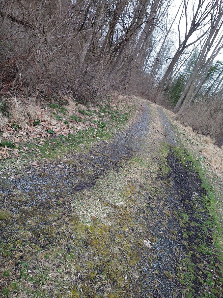 Jack Filip tweet media