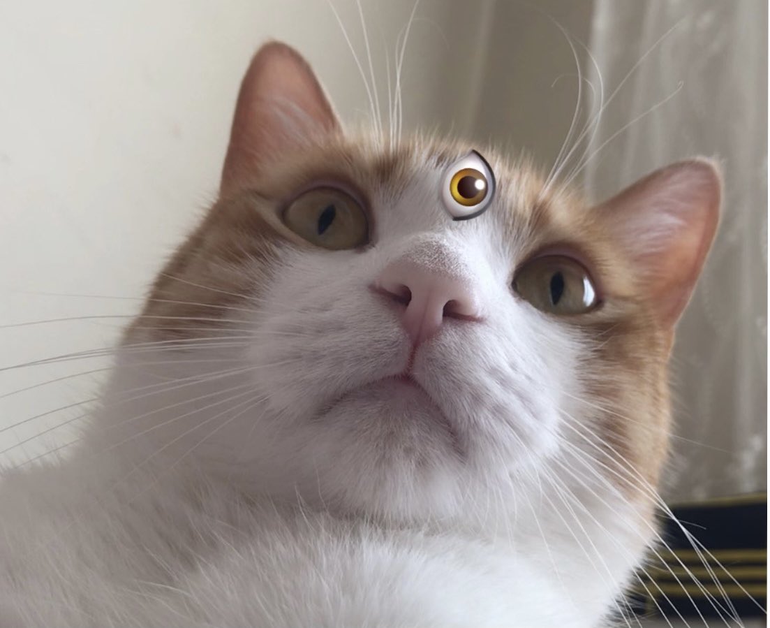 Ateş saçan bombom adam