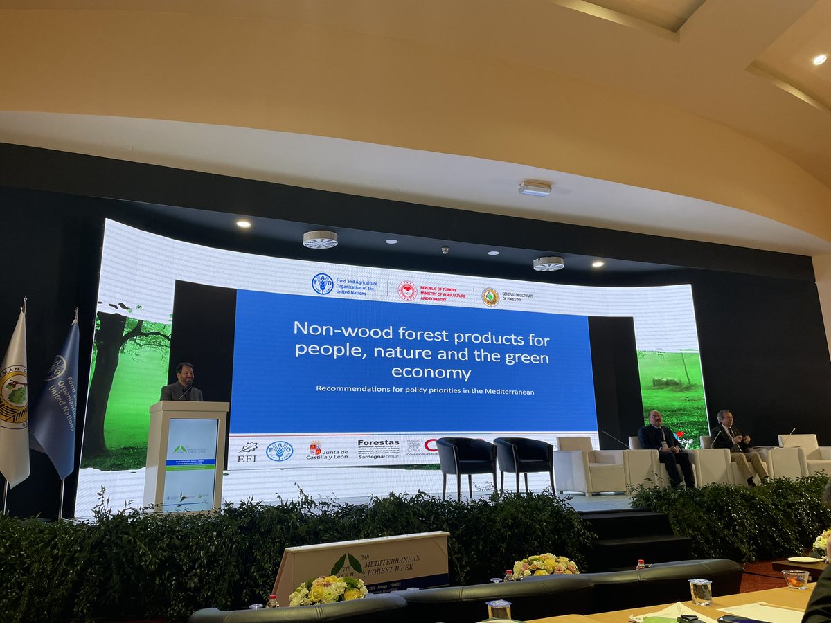 Magda BOU DAGHER tweet media