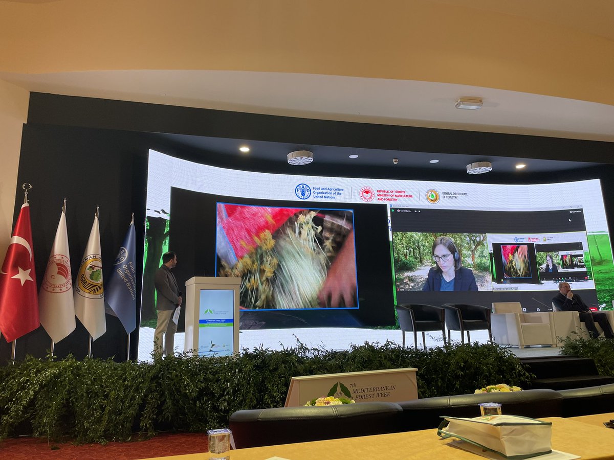 Magda BOU DAGHER tweet media