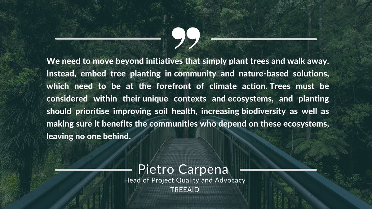 TREEAID's tweet photo. Finance still drives #deforestation across the 🌍

It's time to redirect capital to protect #forests &amp; create #sustainableeconomies 💪
 
Investing in HQ #treegrowing projects can help - #ReforestBetter Guide shows us how🌱 
https://t.co/OVLmF4coAs

#InternationalDayofForests https://t.co/wVJSx7FVi6