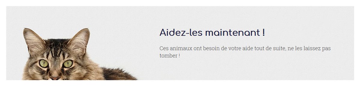 bandnentx2's tweet photo. #Anipals #ClickerCrew #StrongerTogether2022
GREAT NEWS‼️ Everyone's hard work got the job done‼️
CACHOU, SALTO have been moved to the Saved page‼️
Thank you for all your #Clicks and #Donations‼️
There's more work to get done in the next few hours‼️
#FreeClicksWork‼️ https://t.co/KTVVgLq2Q5